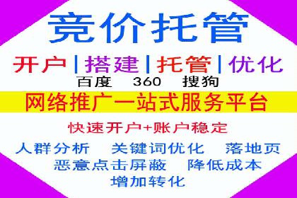 行业领先企业的SEM推广策略揭秘